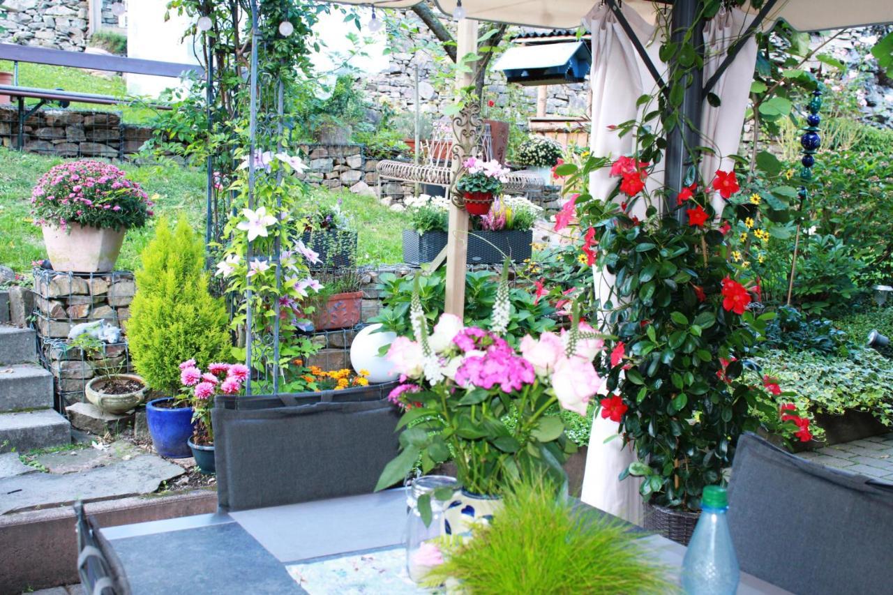 Ferienwohnung Im Morgenbachtal Trechtingshausen المظهر الخارجي الصورة