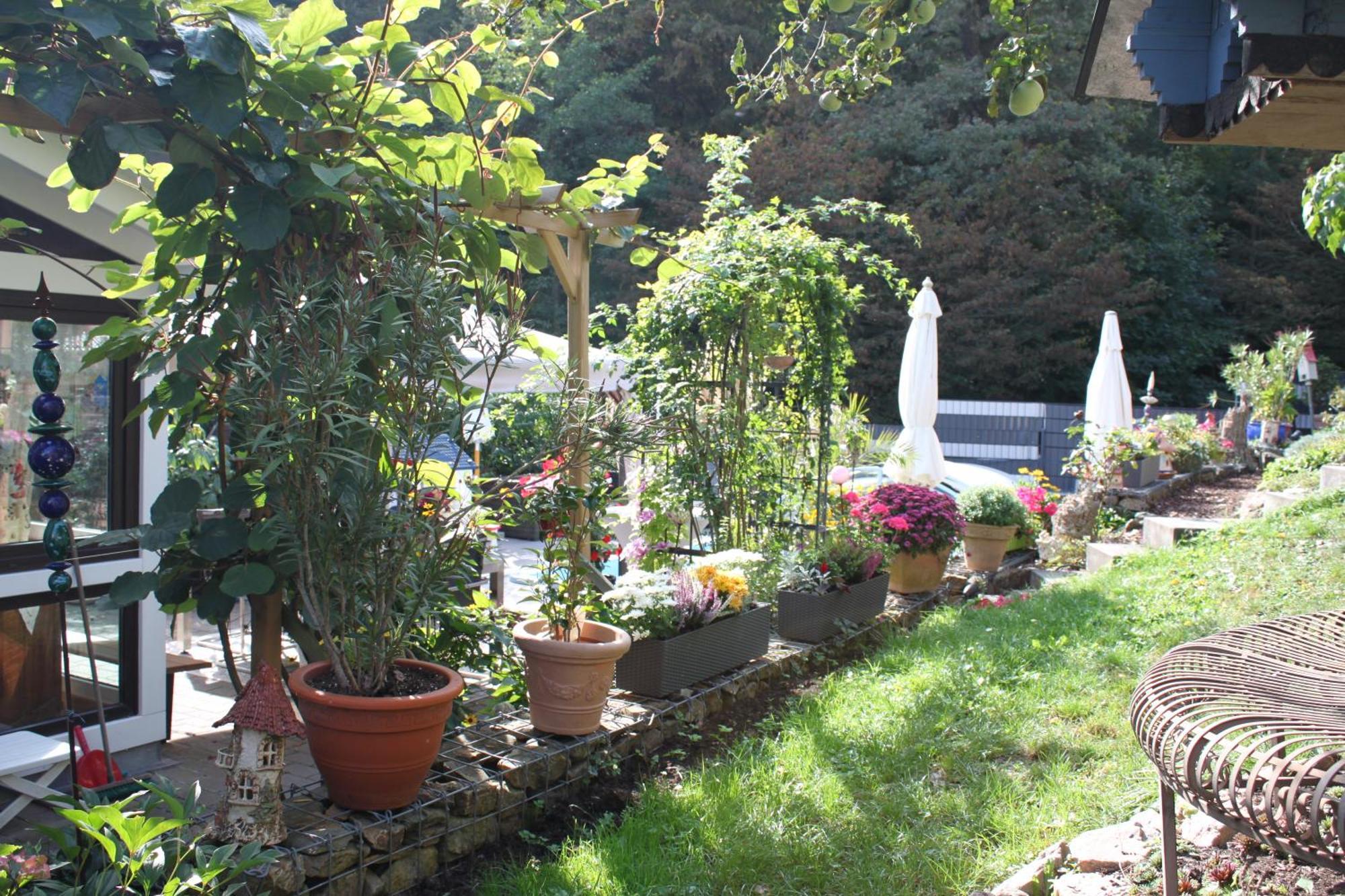 Ferienwohnung Im Morgenbachtal Trechtingshausen المظهر الخارجي الصورة