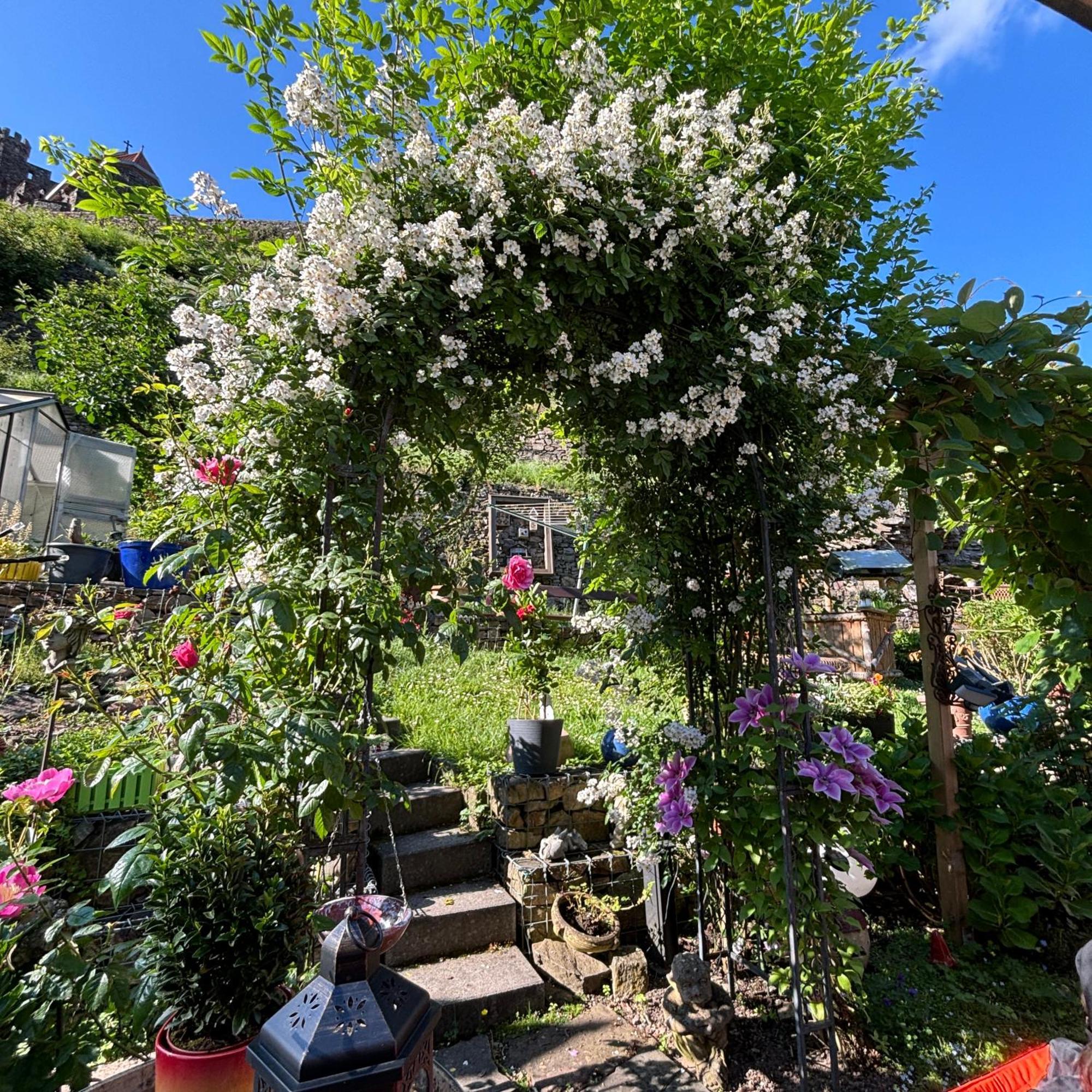 Ferienwohnung Im Morgenbachtal Trechtingshausen المظهر الخارجي الصورة