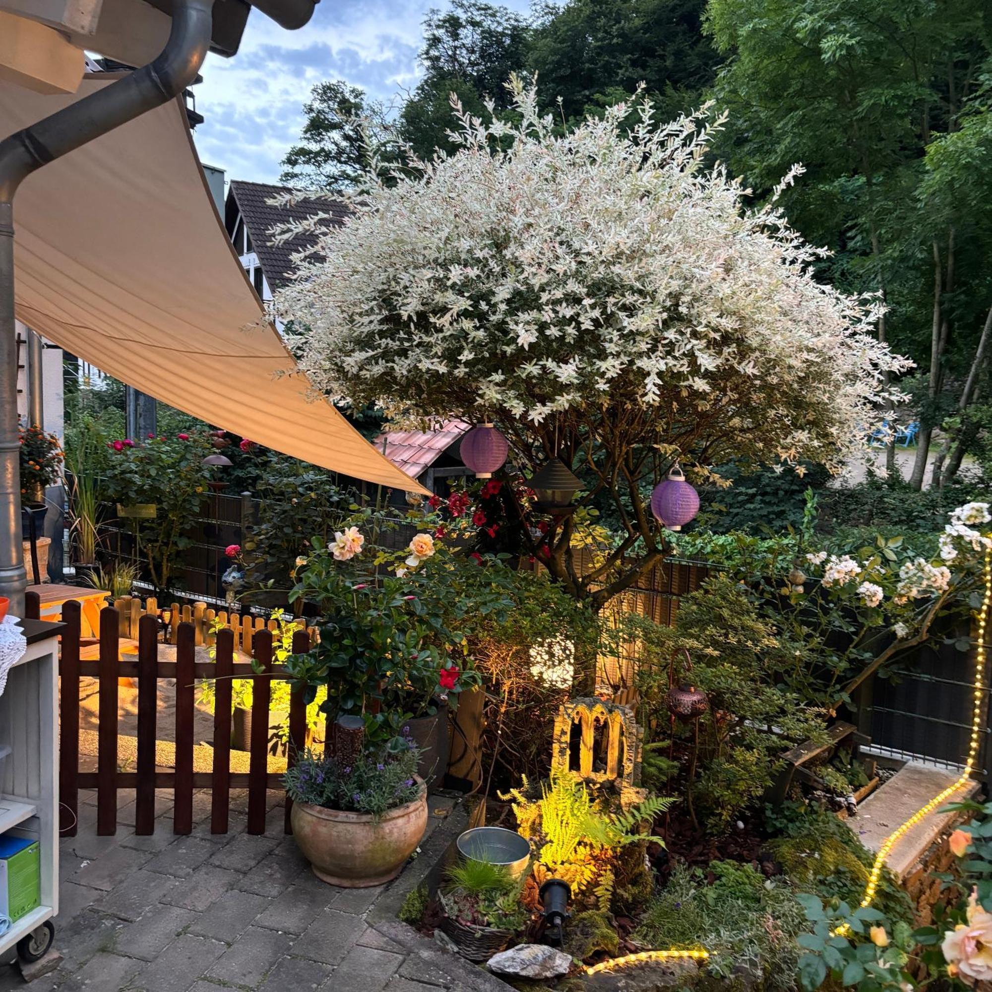 Ferienwohnung Im Morgenbachtal Trechtingshausen المظهر الخارجي الصورة