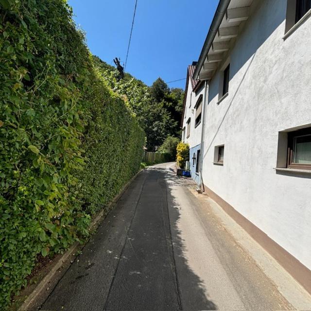 Ferienwohnung Im Morgenbachtal Trechtingshausen المظهر الخارجي الصورة